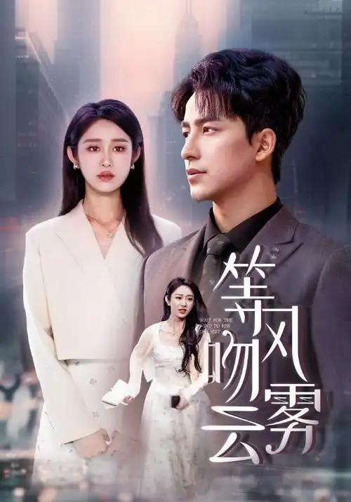 雾港迷踪 热播电视剧全集在线观看